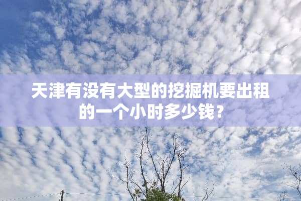 天津有没有大型的挖掘机要出租的一个小时多少钱？