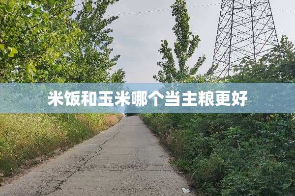 米饭和玉米哪个当主粮更好