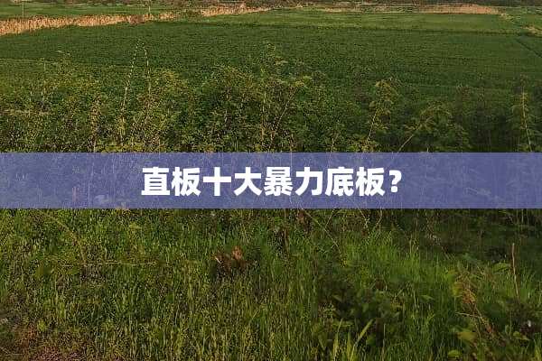 直板十大**底板？