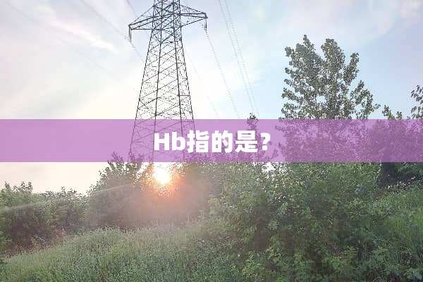Hb指的是？