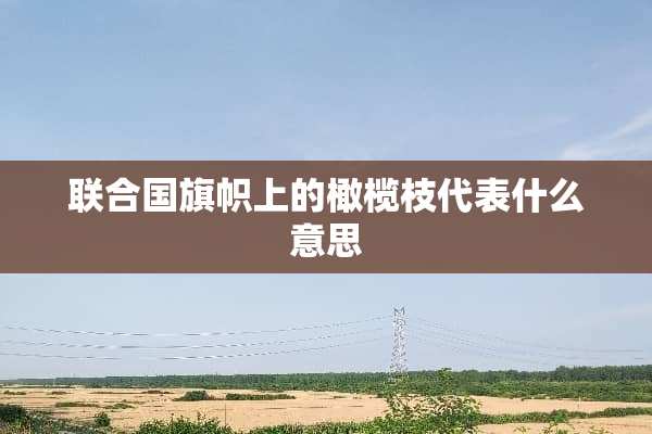 联合国旗帜上的橄榄枝代表什么意思