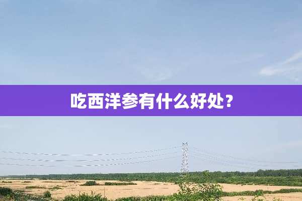 吃西洋参有什么好处？