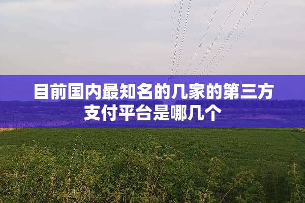 目前国内最知名的几家的第三方支付平台是哪几个