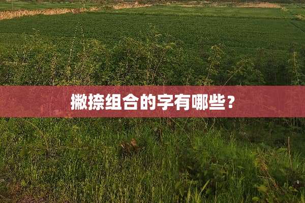 撇捺组合的字有哪些？