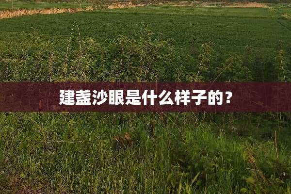 建盏沙眼是什么样子的？