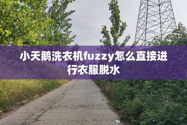 小天鹅洗衣机fuzzy怎么直接进行衣服脱水