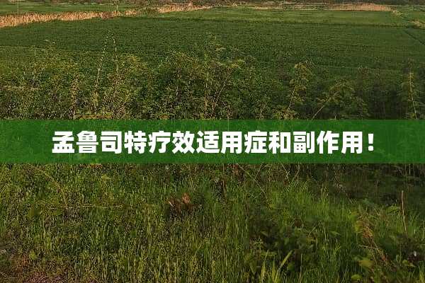 孟鲁司特疗效适用症和副作用！