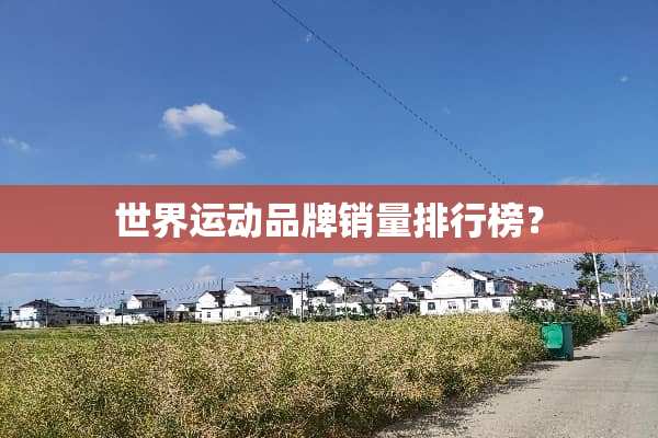 世界运动品牌销量排行榜？