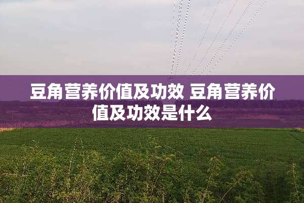 豆角营养价值及功效 豆角营养价值及功效是什么