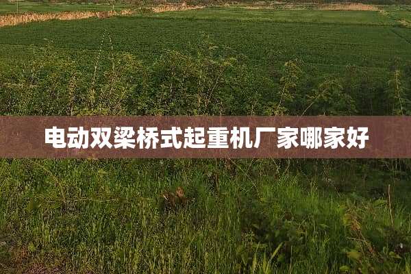电动双梁桥式起重机厂家哪家好