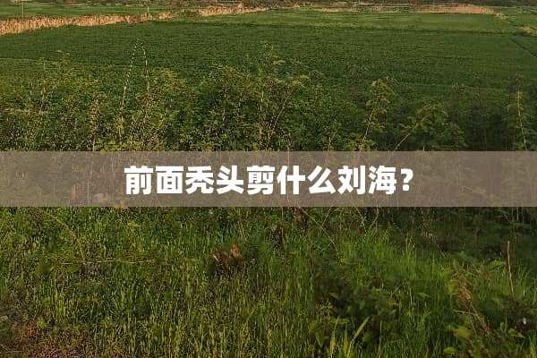 前面秃头剪什么刘海？