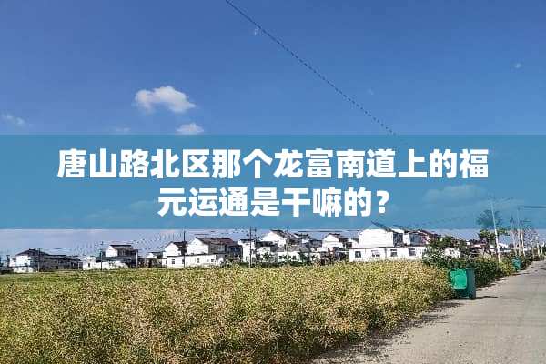 唐山路北区那个龙富南道上的福元运通是干嘛的？
