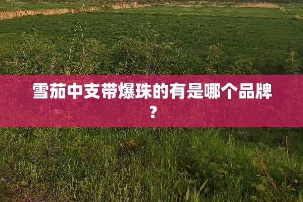 雪茄中支带爆珠的有是哪个品牌？