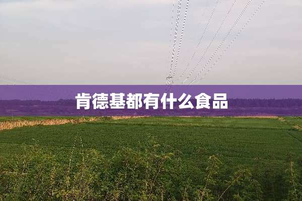 肯德基都有什么食品