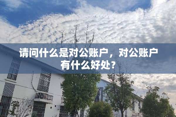 请问什么是对公账户，对公账户有什么好处？