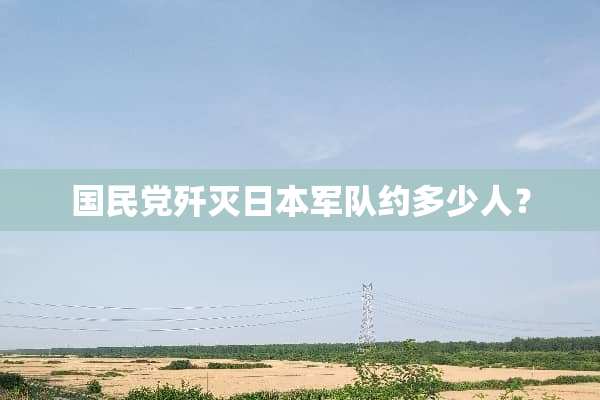 国民*歼**本**约多少人？