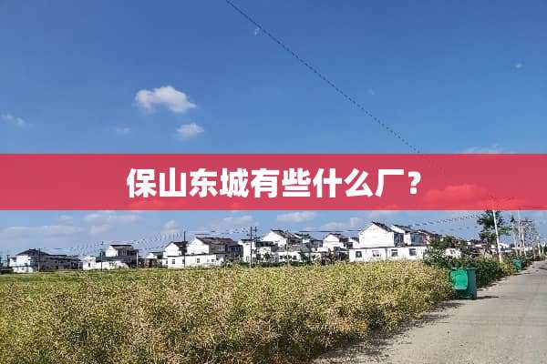 保山东城有些什么厂？
