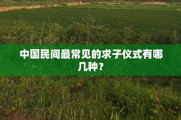 中国民间最常见的求子仪式有哪几种？