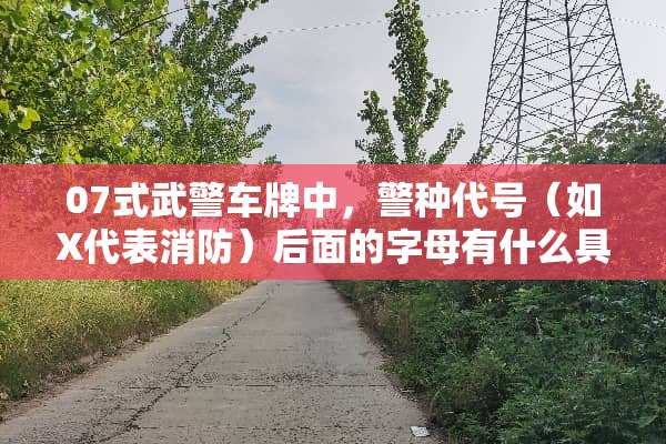 07式**车牌中，警种代号（如X代表消防）后面的字母有什么具体含义？