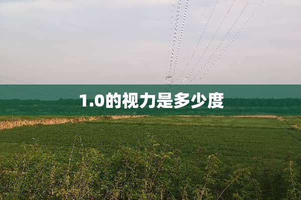1.0的视力是多少度