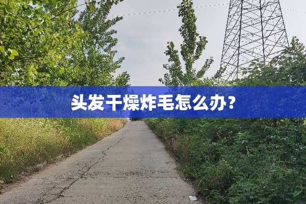 头发干燥炸毛怎么办？