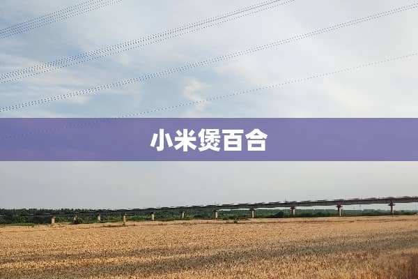 小米煲百合