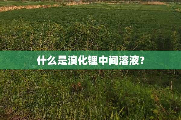 什么是溴化锂中间溶液？