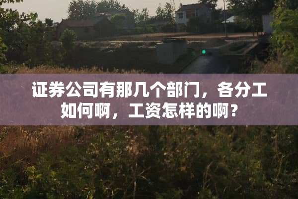 证券公司有那几个部门，各分工如何啊，工资怎样的啊？
