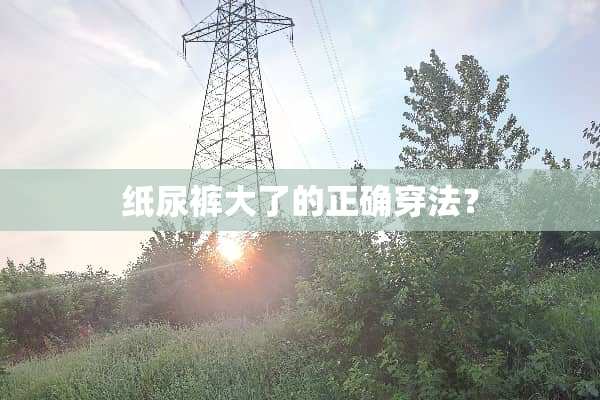 纸尿裤大了的正确穿法？