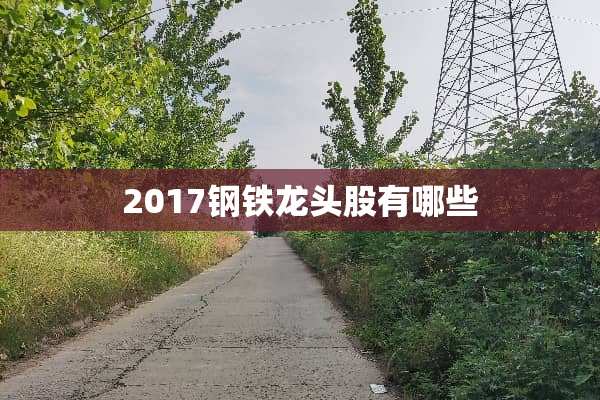 2017钢铁龙头股有哪些