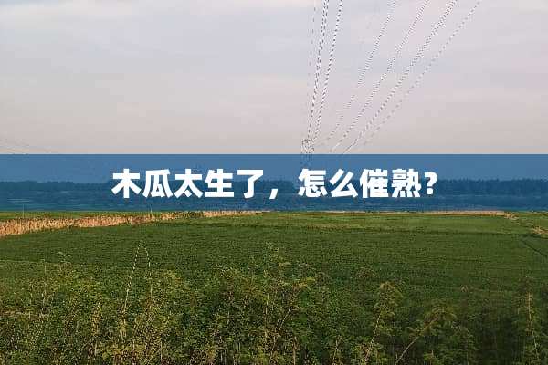 木瓜太生了，怎么催熟？