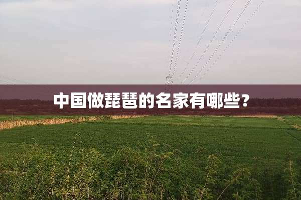 中国做琵琶的名家有哪些？
