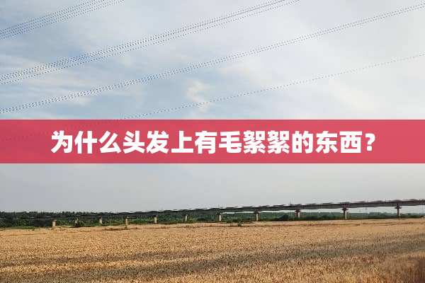 为什么头发上有毛絮絮的东西？