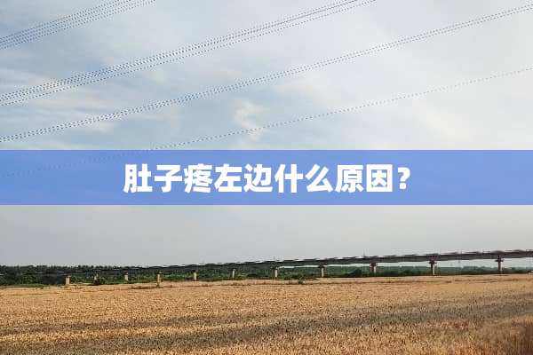 肚子疼左边什么原因？