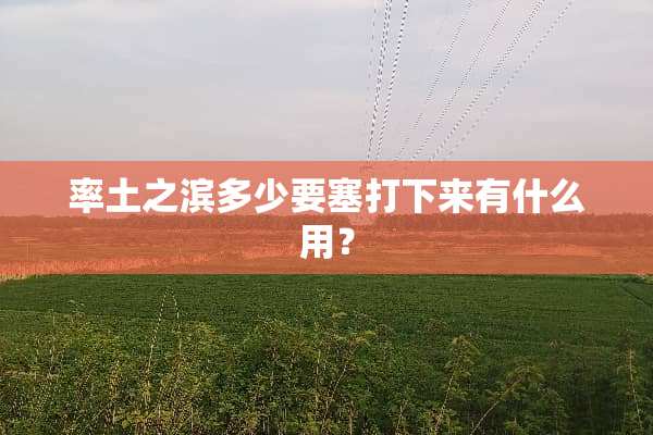 率土之滨多少要塞打下来有什么用？