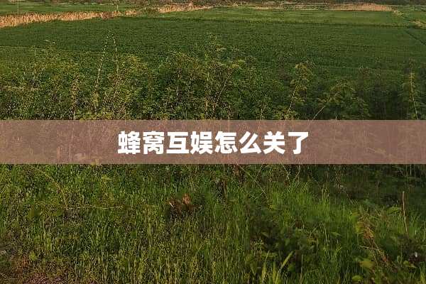蜂窝互娱怎么关了