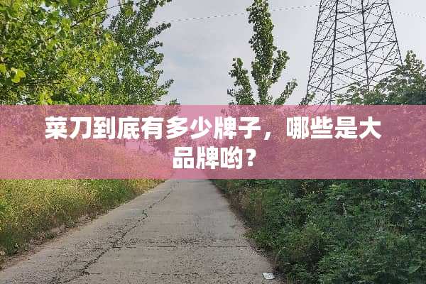 菜刀到底有多少牌子，哪些是大品牌哟？