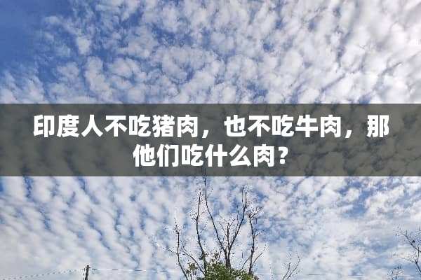 印度人不吃猪肉，也不吃牛肉，那他们吃什么肉？