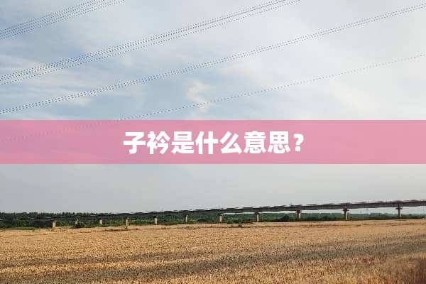 子衿是什么意思？