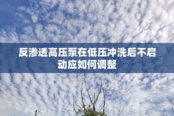 反渗透高压泵在低压冲洗后不启动应如何调整