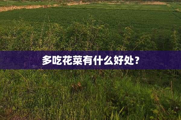 多吃花菜有什么好处？