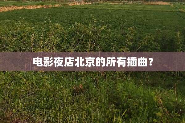 电影夜店北京的所有插曲？