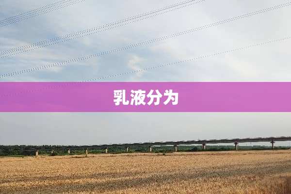 *液分为