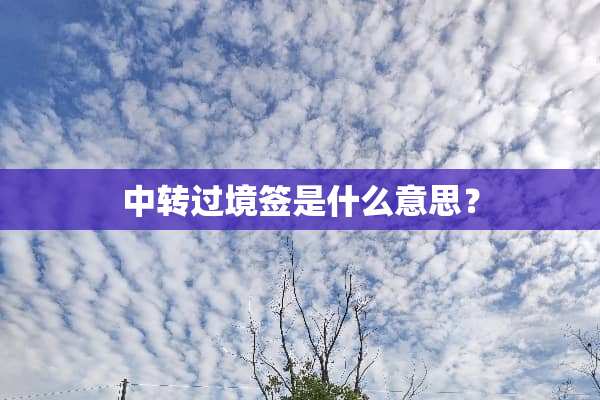 中转过境签是什么意思？