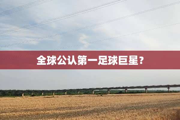 全球公认第一**巨星？
