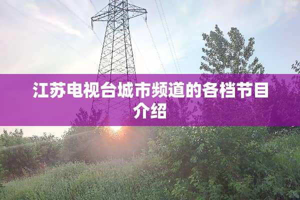 江苏电视台城市频道的各档节目介绍