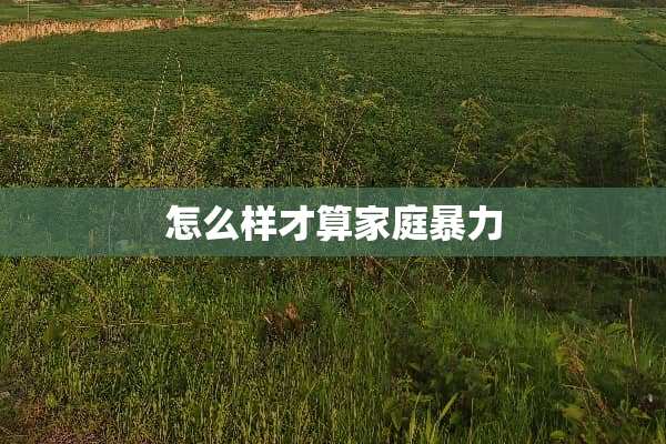 怎么样才算家庭**