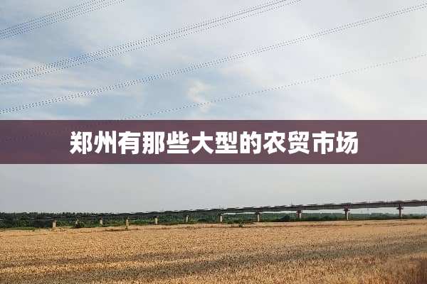 郑州有那些大型的农贸市场
