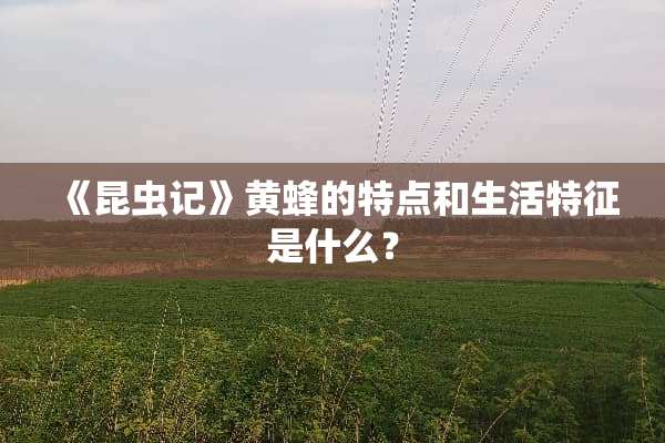 《昆虫记》黄蜂的特点和生活特征是什么？