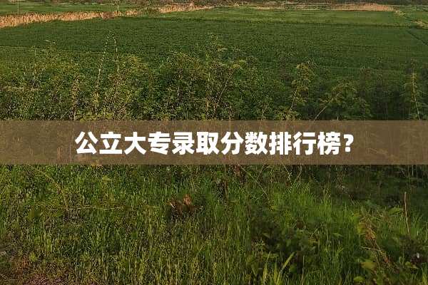 公立大专录取分数排行榜？